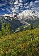 Mt Rainier Sunrise