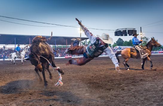 Chief Joseph days bronc rider