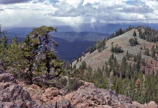 GreenhornMountains, nikkormat